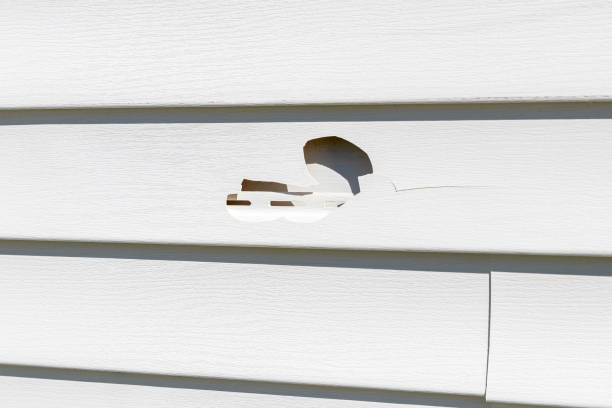 Reliable Bellmawr, NJ Siding Installation & Repair Solutions