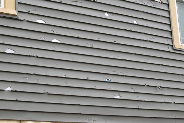 Best Fascia and Soffit Installation  in Bellmawr, NJ